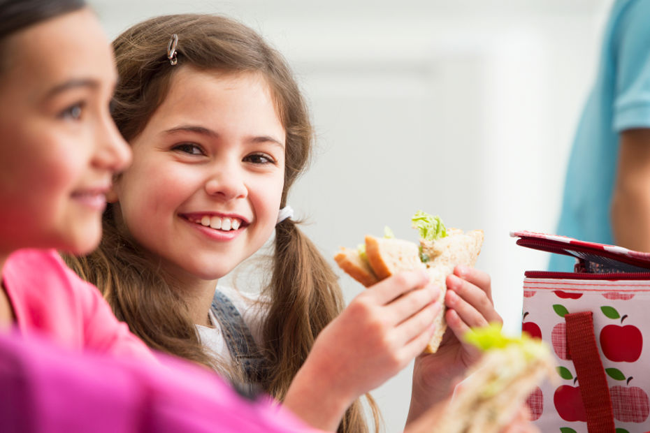5 activités sur les lunchs écolos